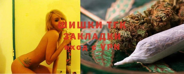 стаф Горно-Алтайск