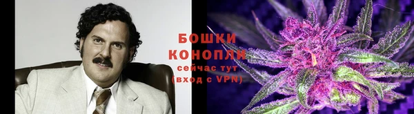 прущая мука Горняк