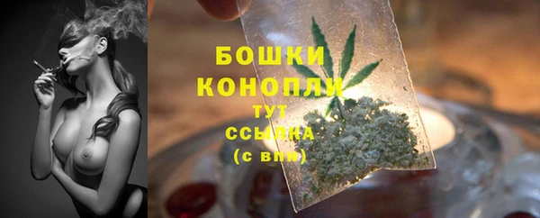 прущая мука Горняк