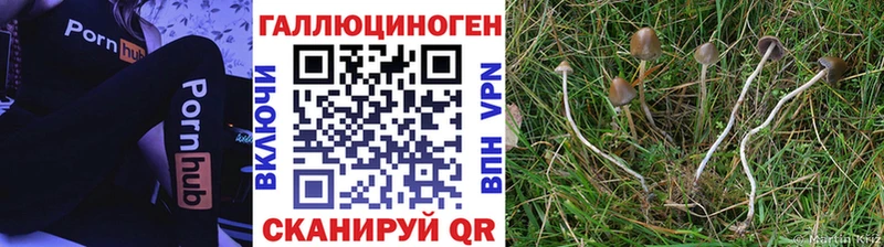 Псилоцибиновые грибы мухоморы  Купить  Иланский 